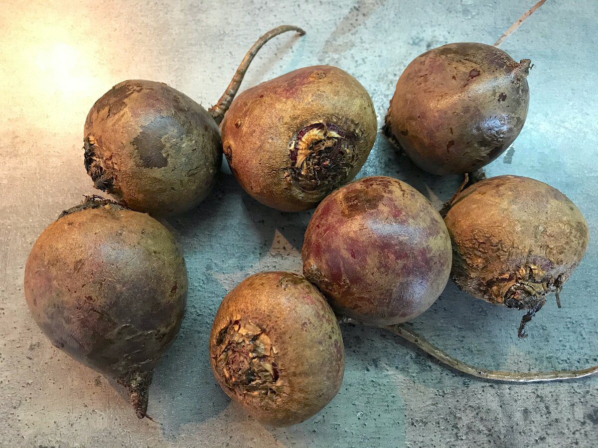 Що треба робити після збору врожаю буряку