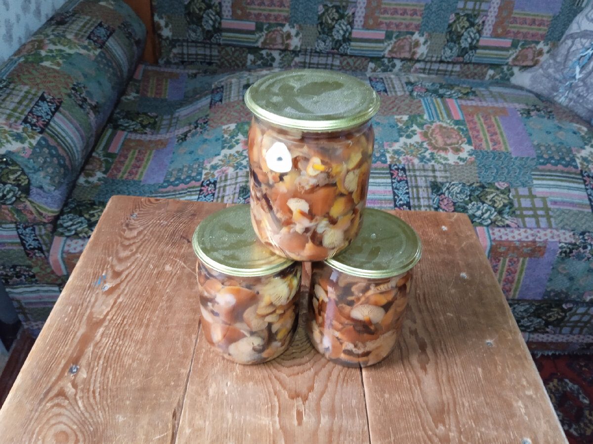 Кулінари порадили простий, але смачний рецепт опеньок на зиму в скляних банках у маринаді