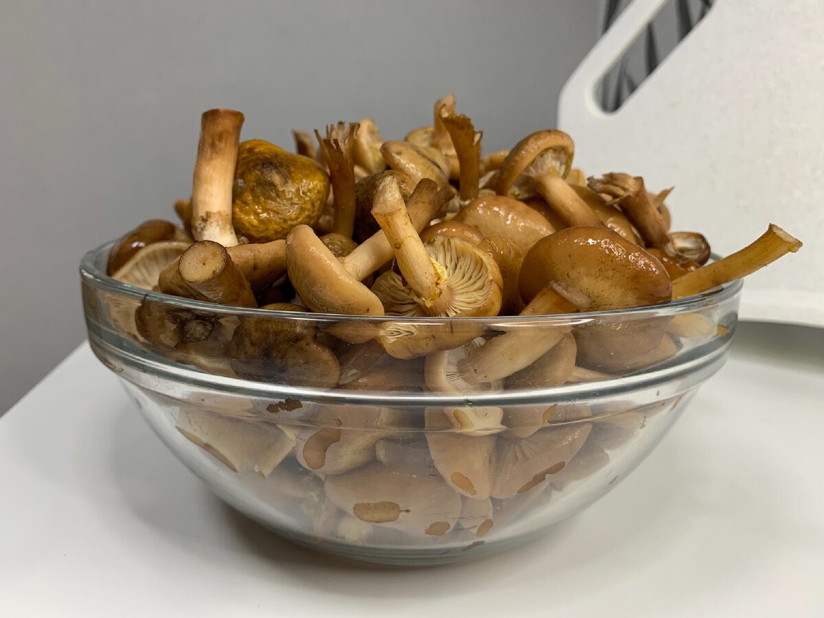 Кулінари порадили простий, але смачний рецепт опеньок на зиму в скляних банках у маринаді