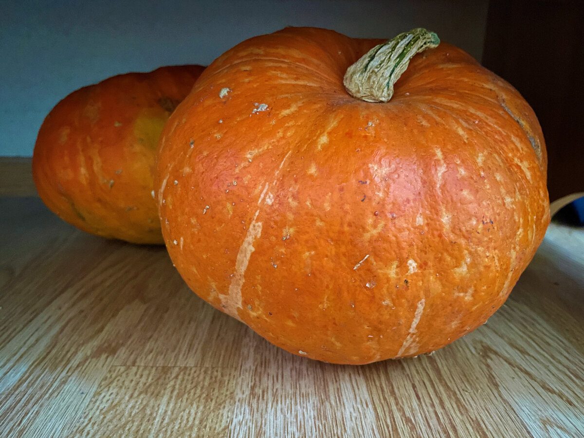 Швидкий рецепт гарбузових оладок з вівсянкою