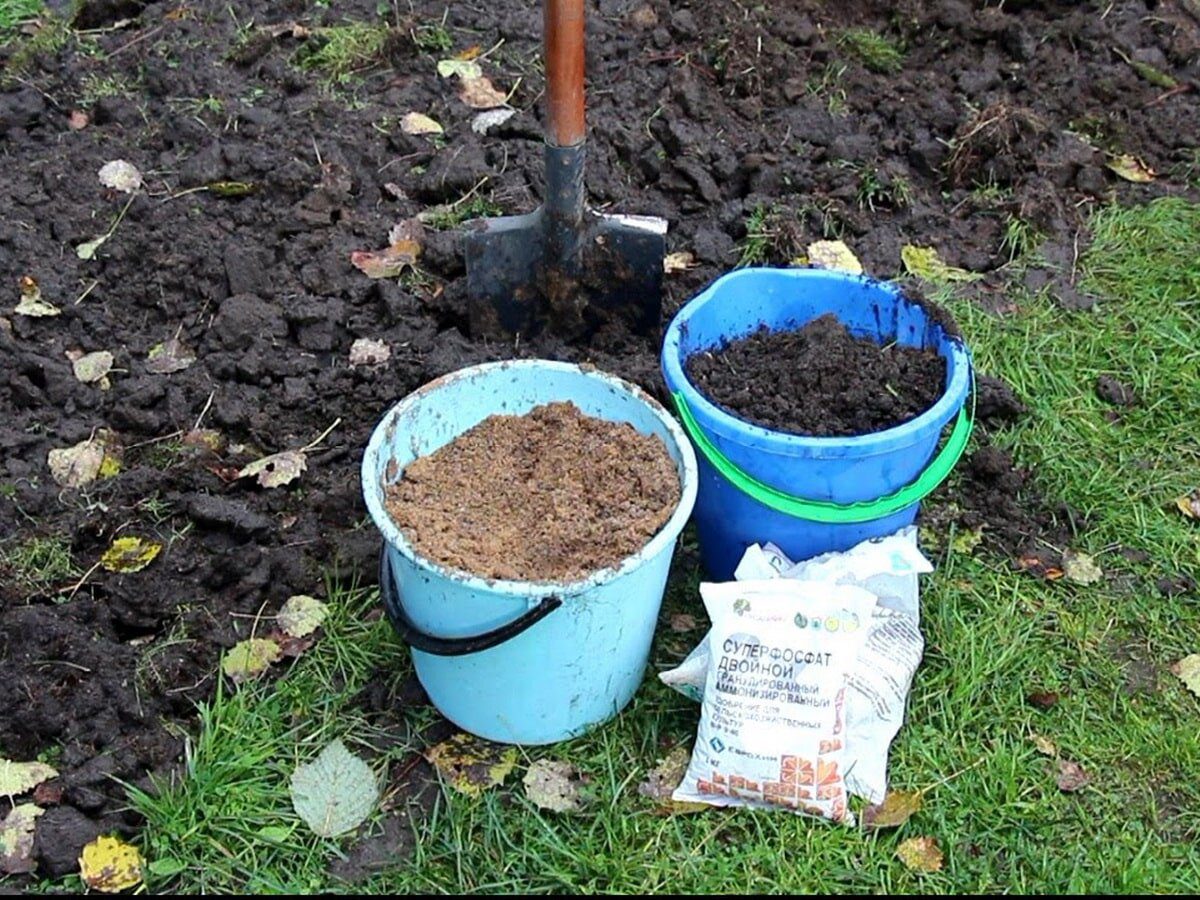 Експерти розповіли, як підготувати грядки під вирощування картоплі та томатів наступного року