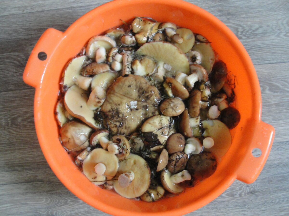 Простий рецепт смачних маслюків