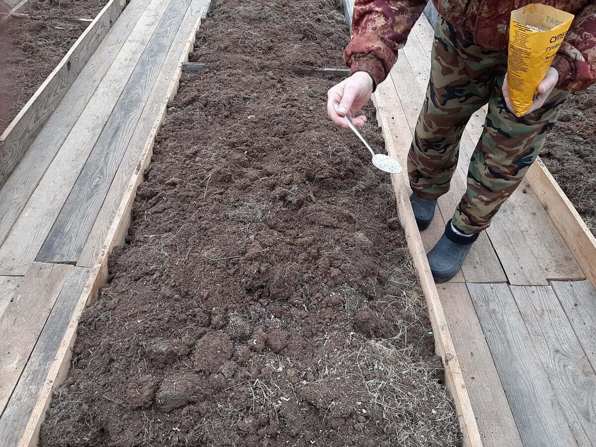 Експерти розповіли, як підготувати грядки під вирощування картоплі та томатів наступного року