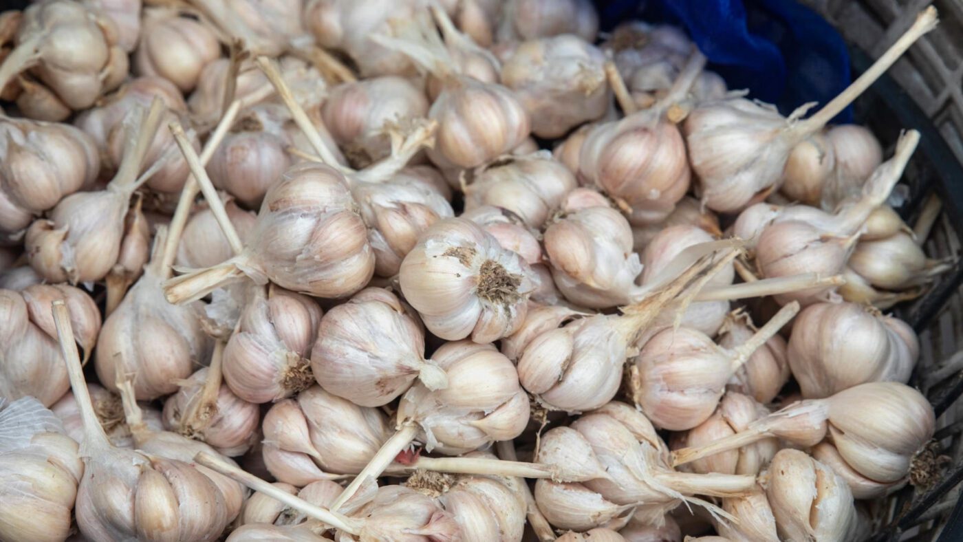 Фермери пояснили, коли краще саджати озимий часник у 2025 році