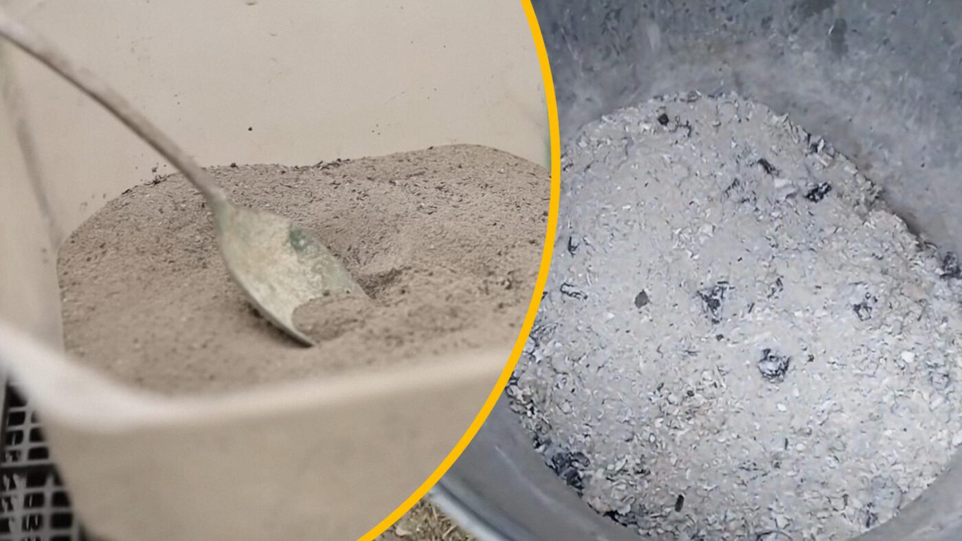 Аграрії пояснили, які мінеральні та органічні добрива давати помідорам