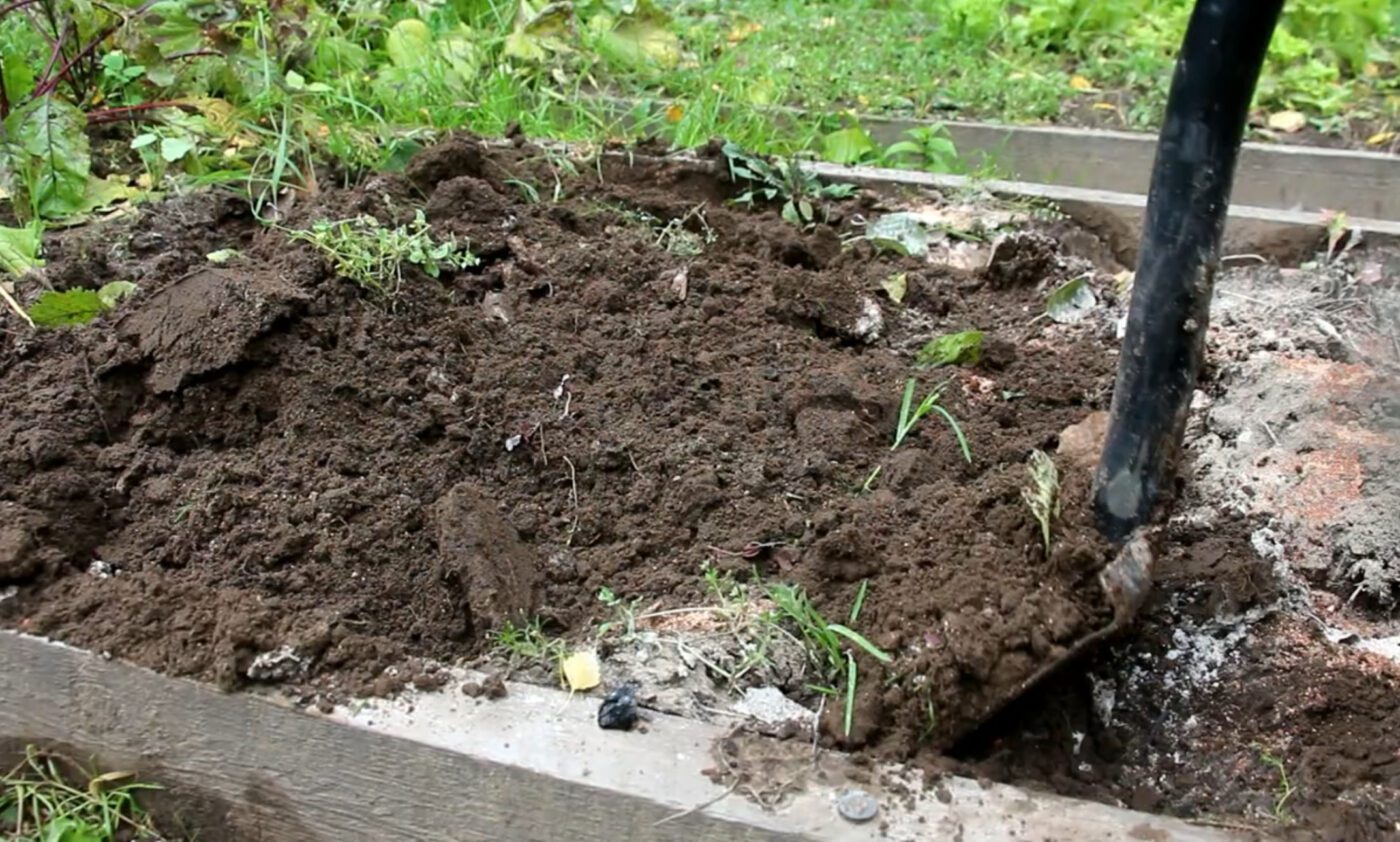 Садівник розповів, чим удобрити землю на городі