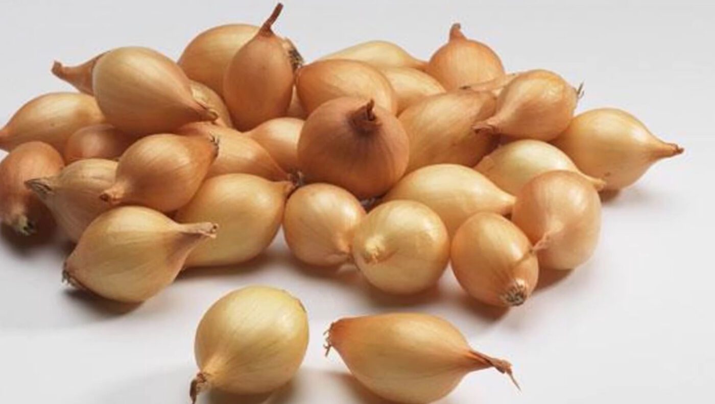 Як правильно зберігати картоплю взимку Як правильно зберігати картоплю взимку