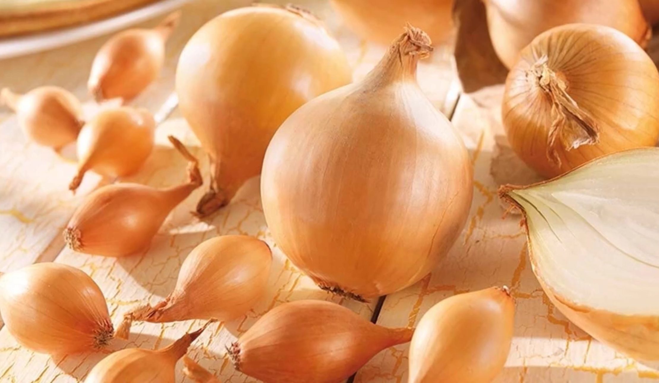 2 сорти цибулі, які дають багатий врожай