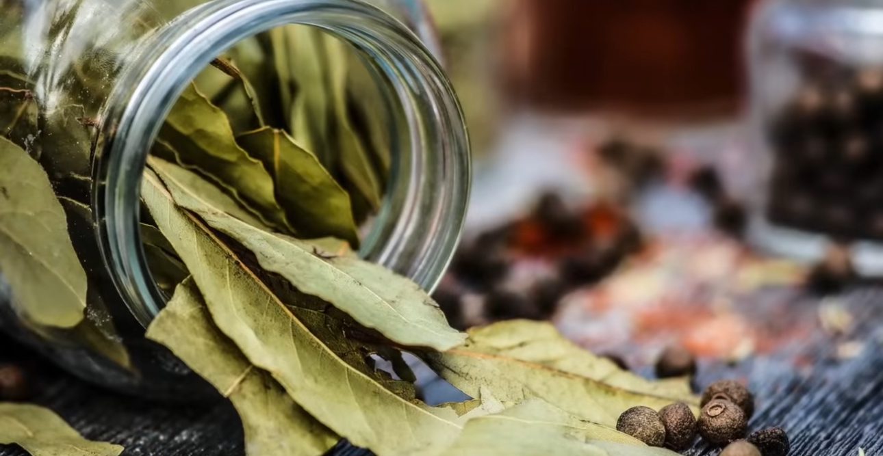 Господині порадили ароматну добавку в суп