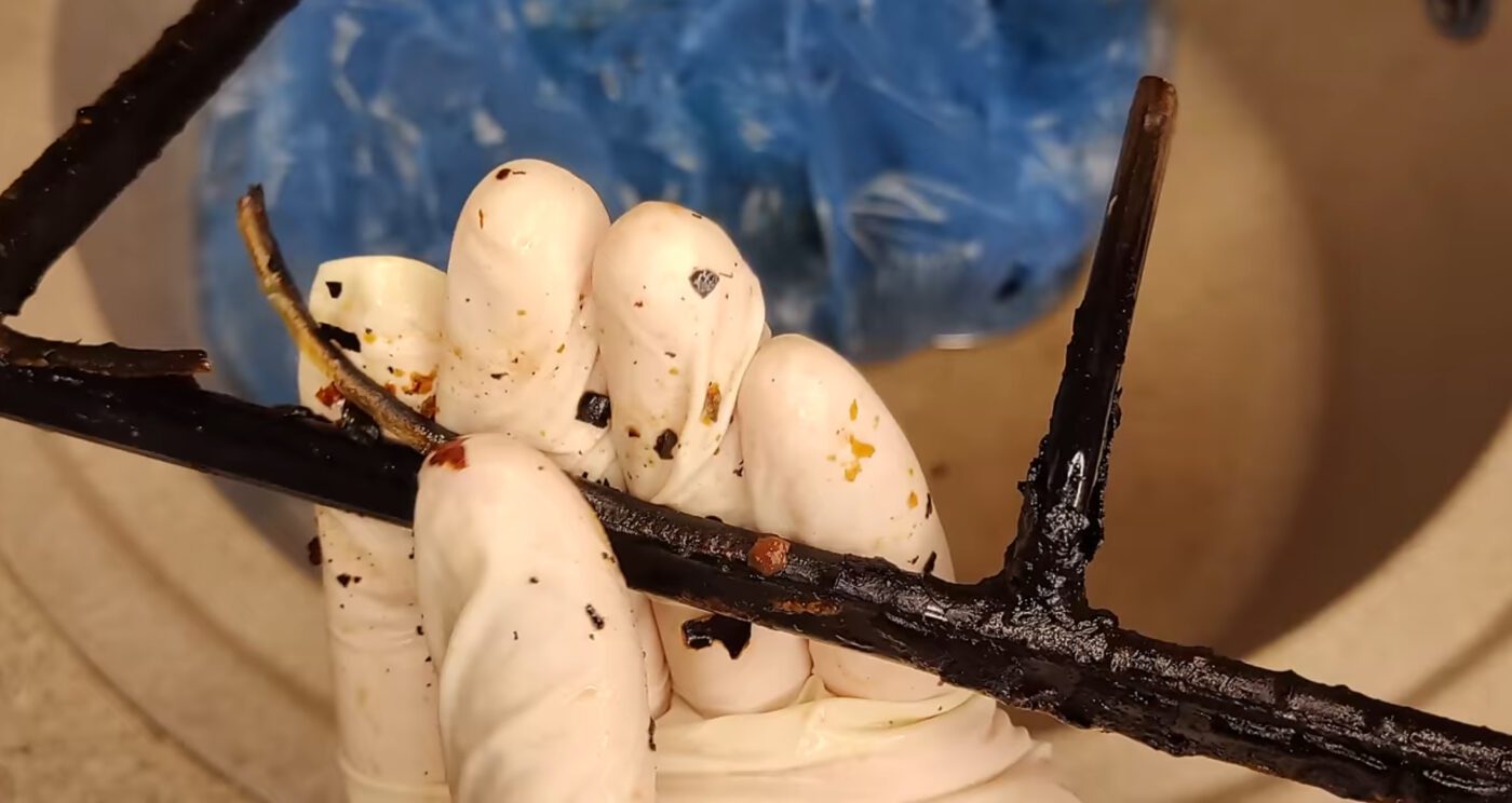 Якими підручними засобами можна відмити нагар на плиті