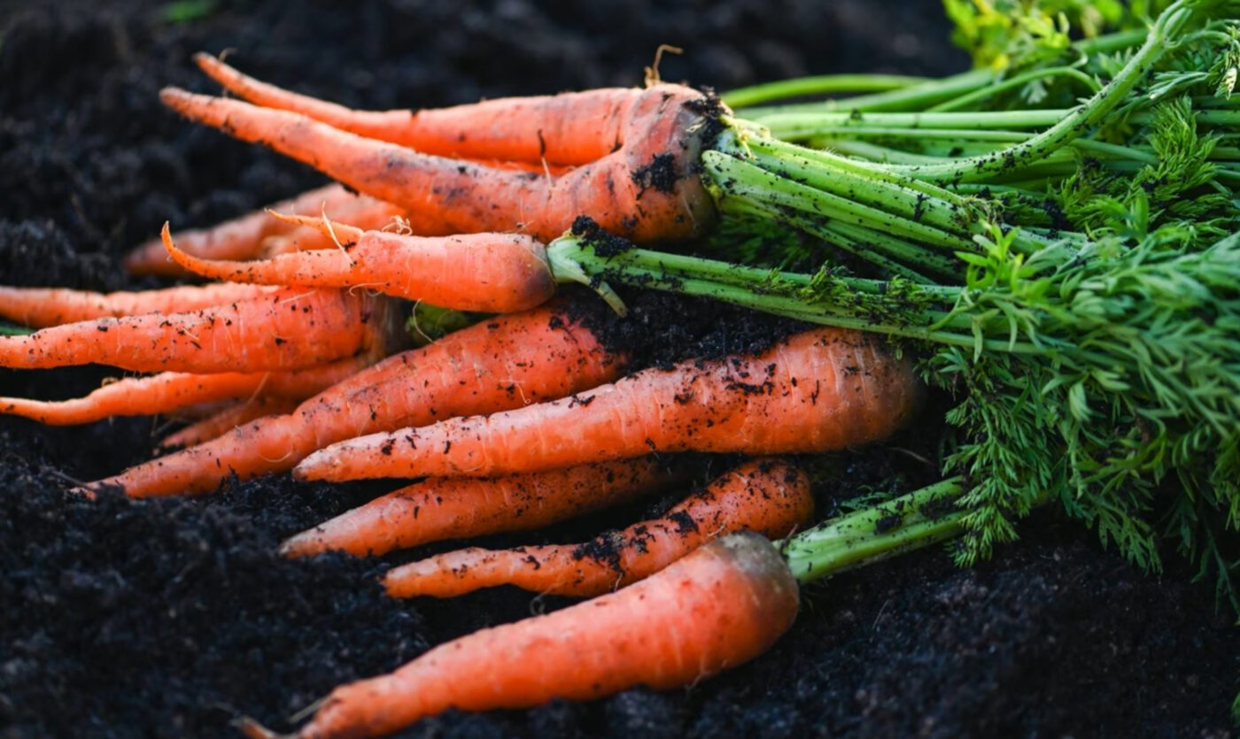 3 помилки при зберіганні моркви