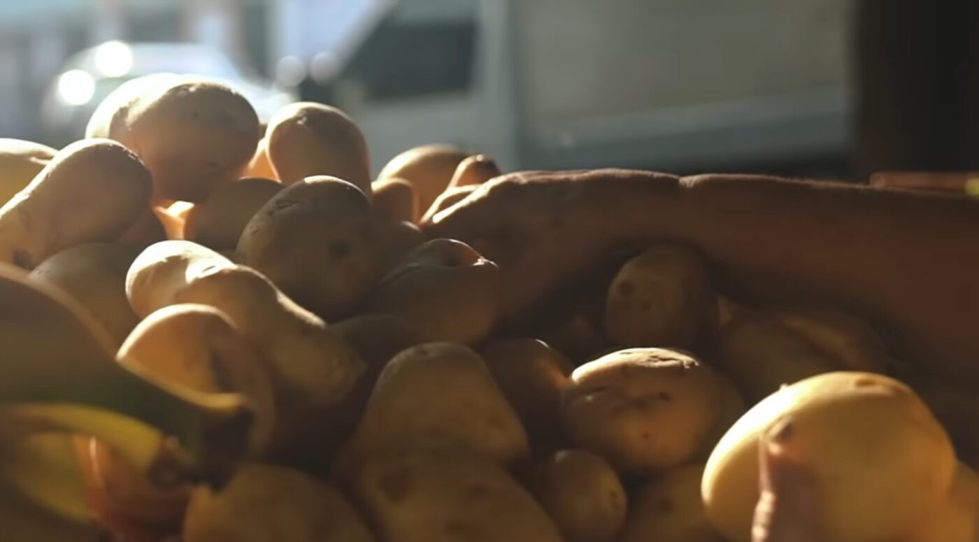 Ознаки, при яких треба викопувати картоплю