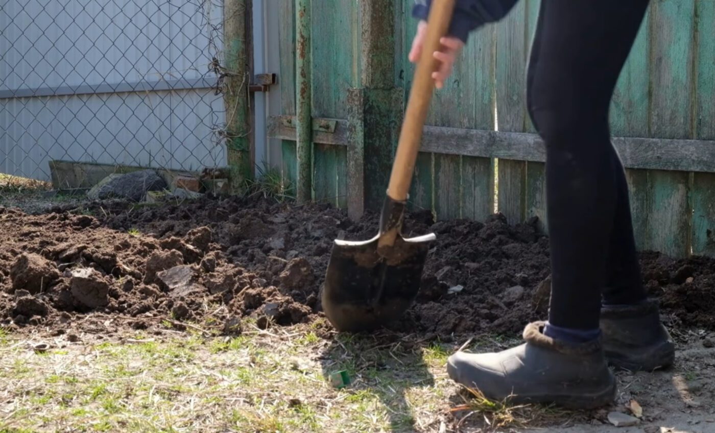 Що не можна садити на городі після картоплі