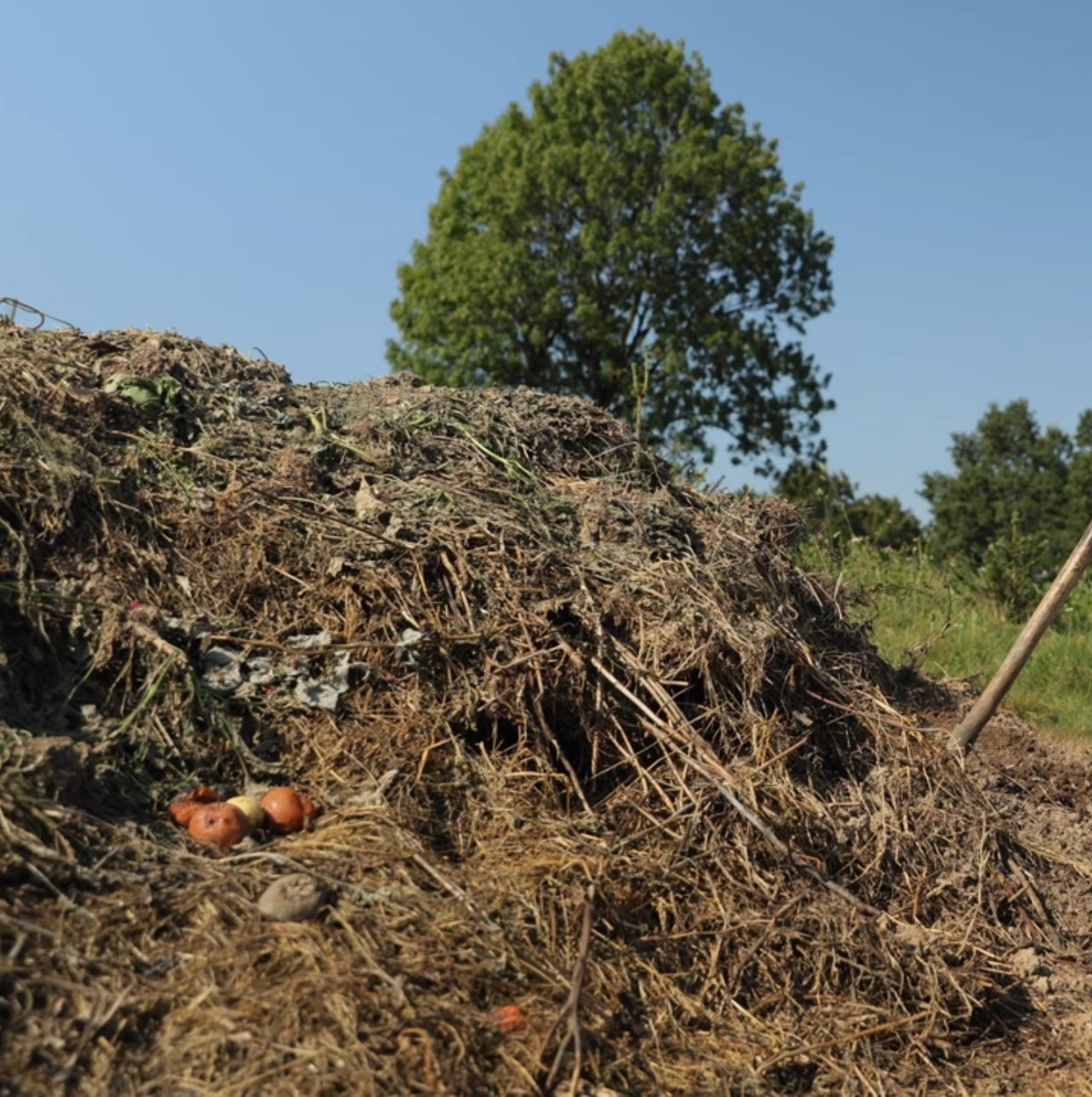 Чим удобрити город для кращої родючості