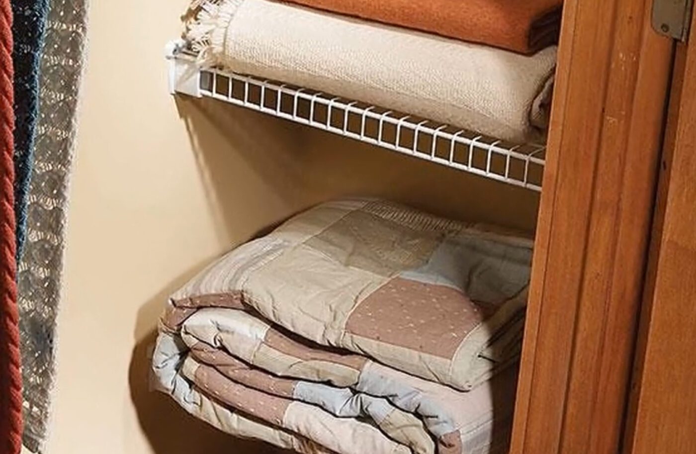 Який натуральний засіб допомагає запобігти молі й тарганам