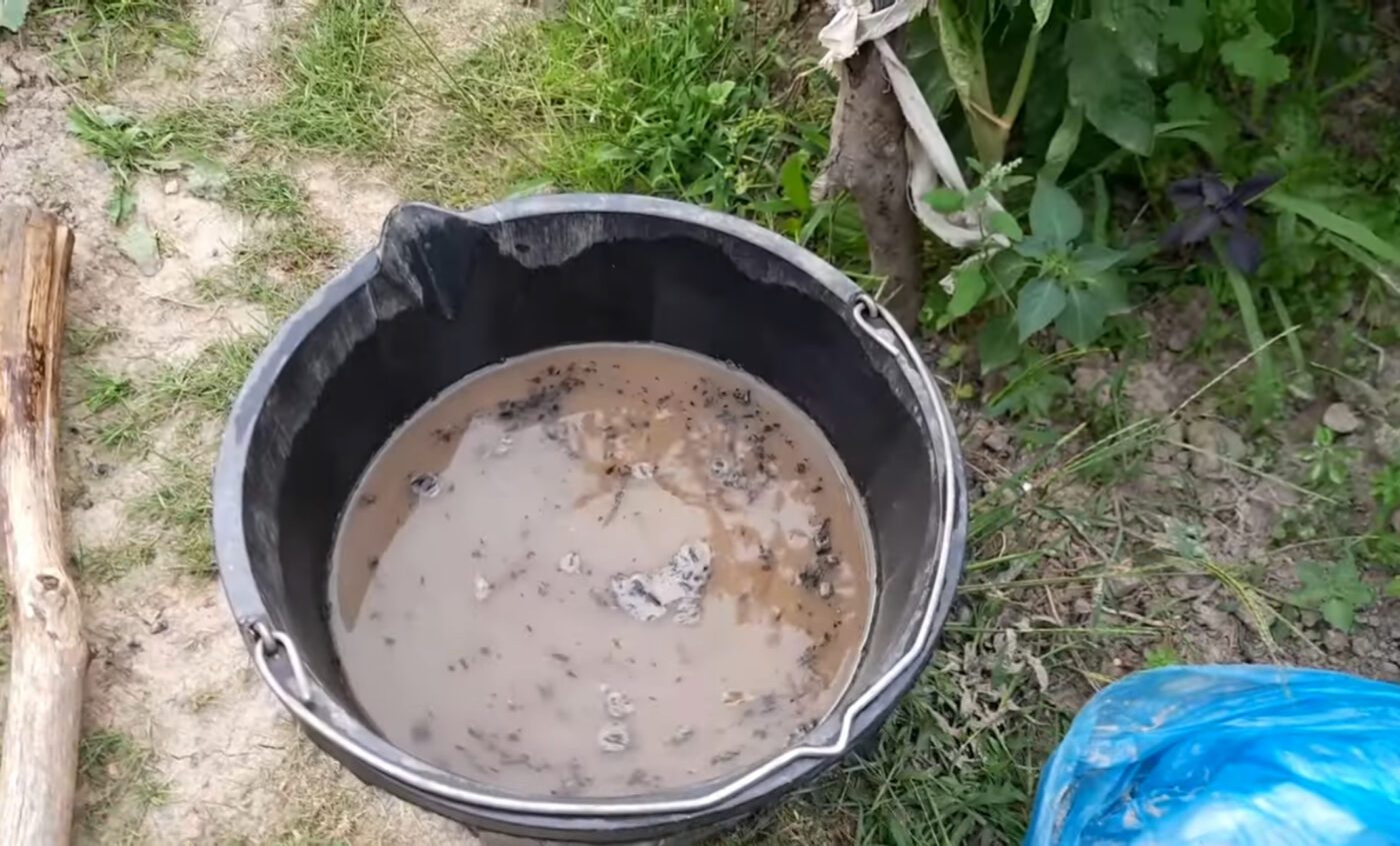 Як приготувати підживлення для городу