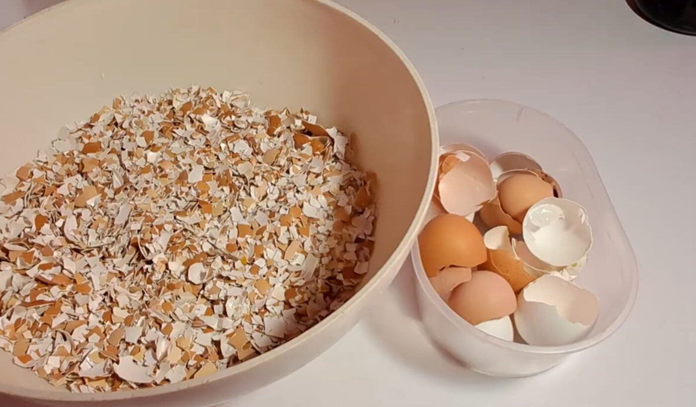 Як приготувати підживлення для городу