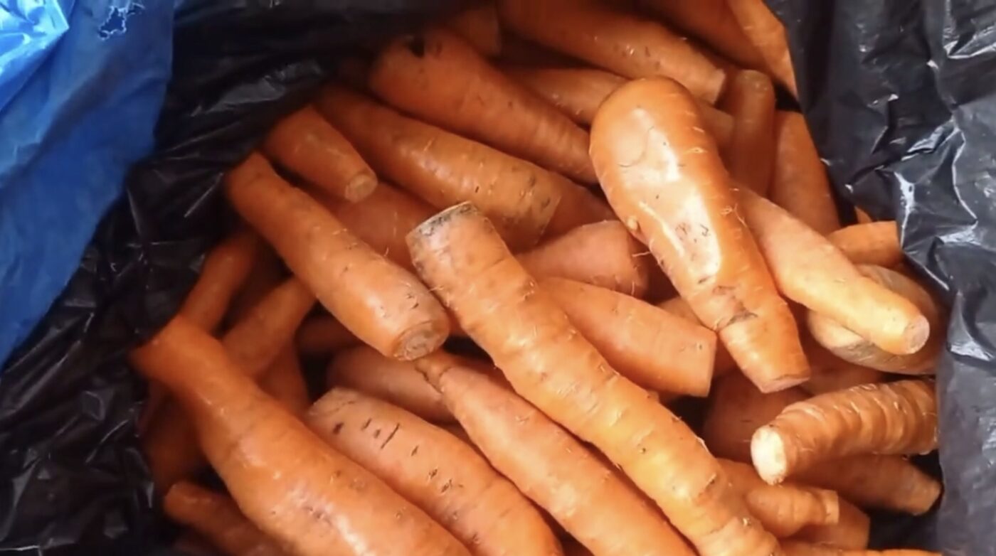 Як збільшити термін зберігання моркви 