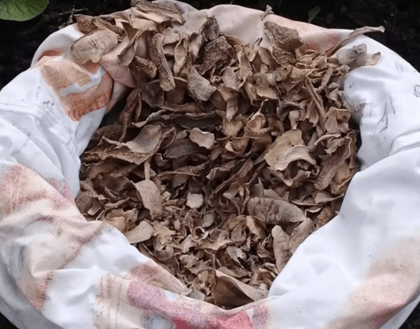 Чим підживити ґрунт для кращої родючості