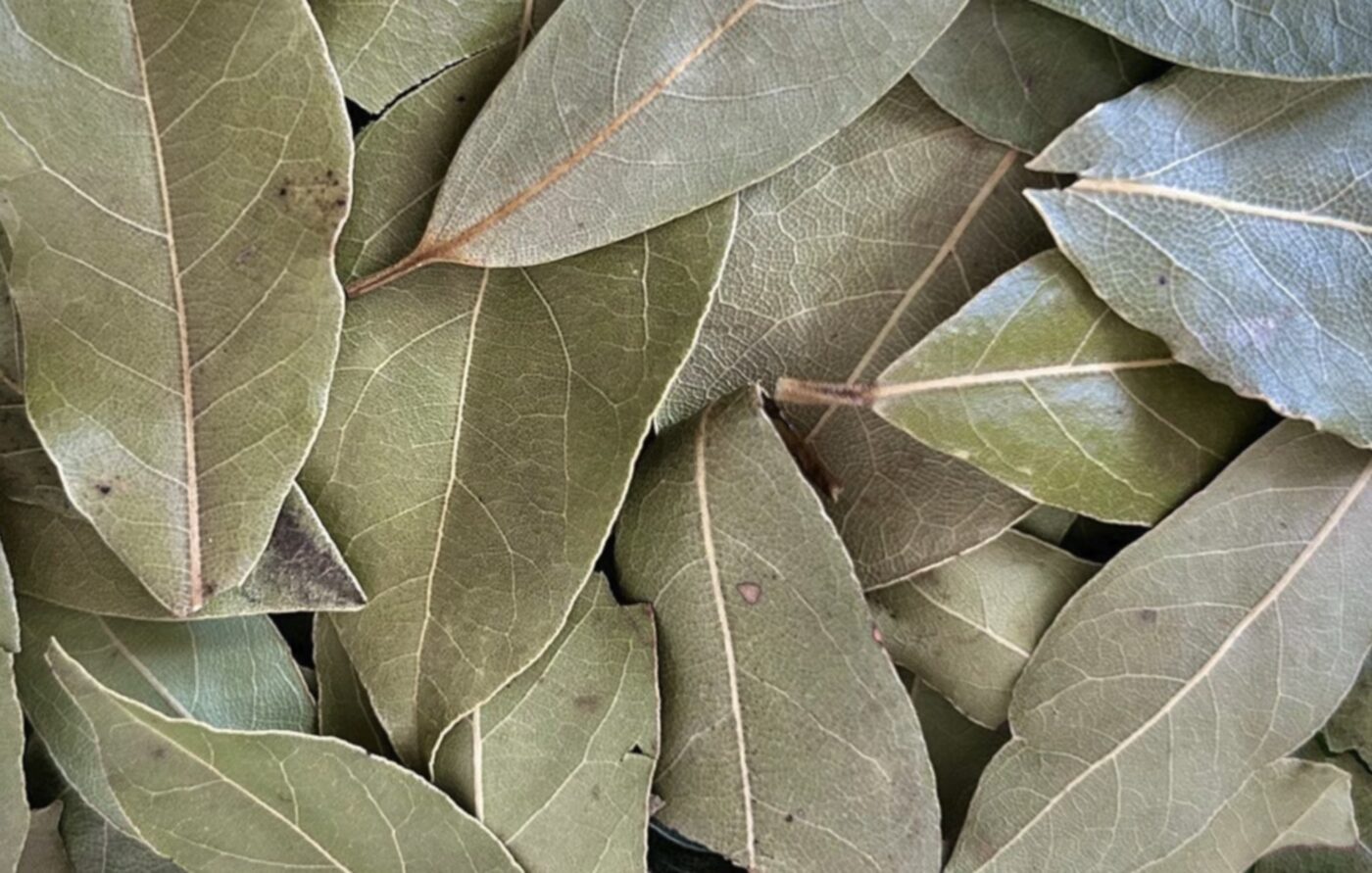 Який натуральний засіб допомагає запобігти молі й тарганам