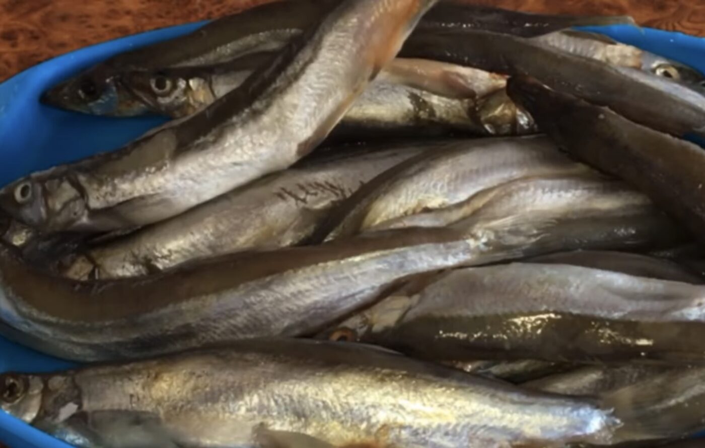 Як прибрати сторонні запахи під час смаження мойви