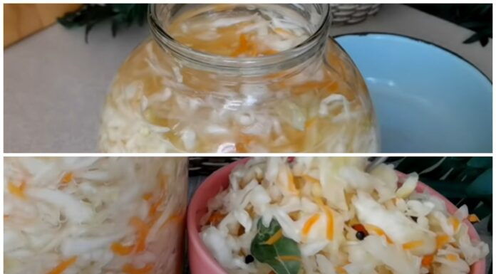 Лікарі-терапевти порадили їсти квашену капусту щодня та розповіли чому