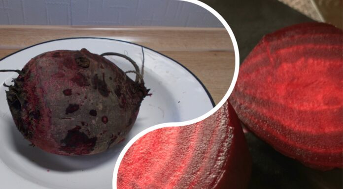 Кулінари розповіли, як пришвидшити процес варіння буряка