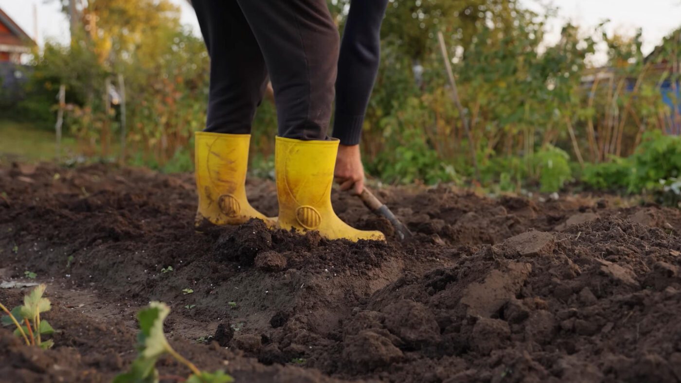 Чи треба перекопувати грядки на зиму Чи треба перекопувати грядки на зиму