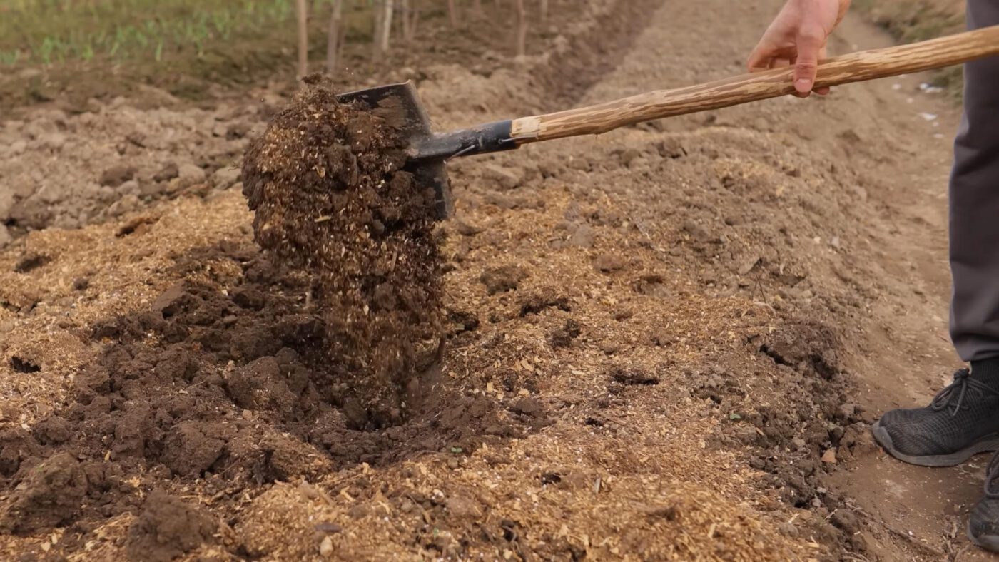 Фермери пояснили, чи потрібно перекопувати город восени