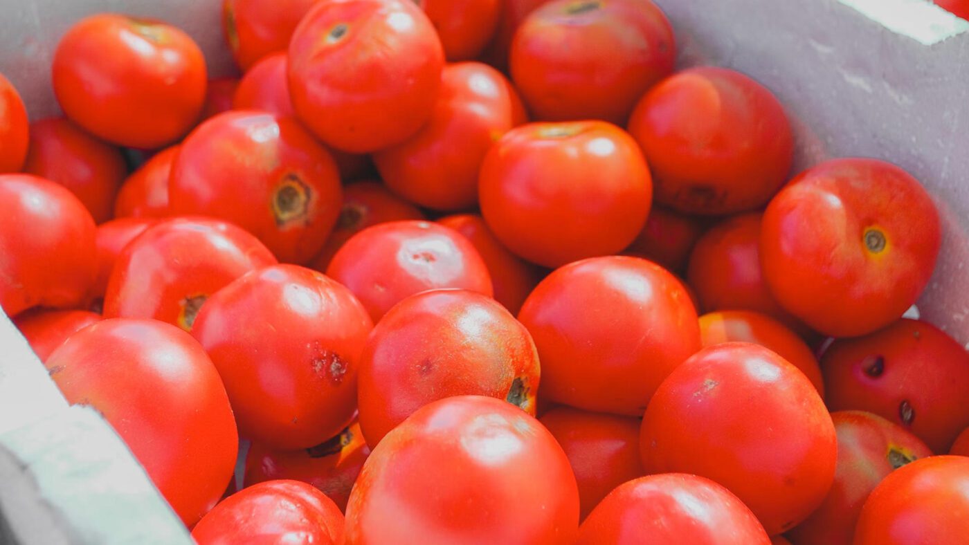 Городники пояснили, чим підживити помідори у вересні для гарного врожаю