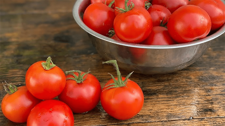 Як підготувати самосів помідорів самостійно