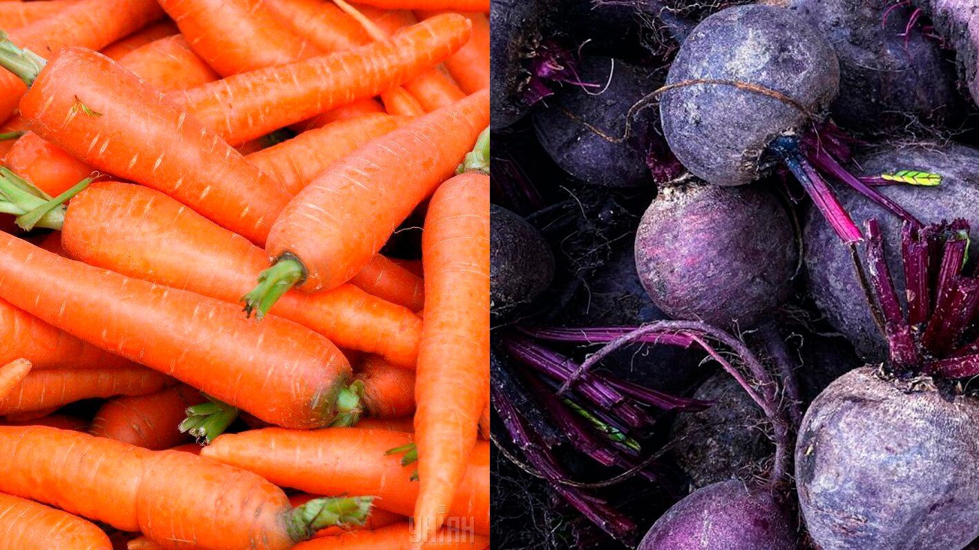 Як зберігати буряк і моркву без підвалу