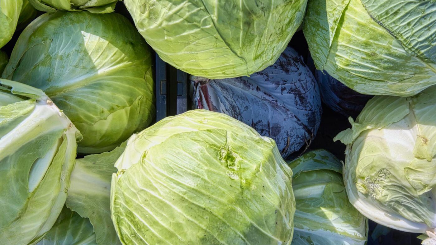 Кухарі розповіли, як правильно зберігати капусту в холодильнику