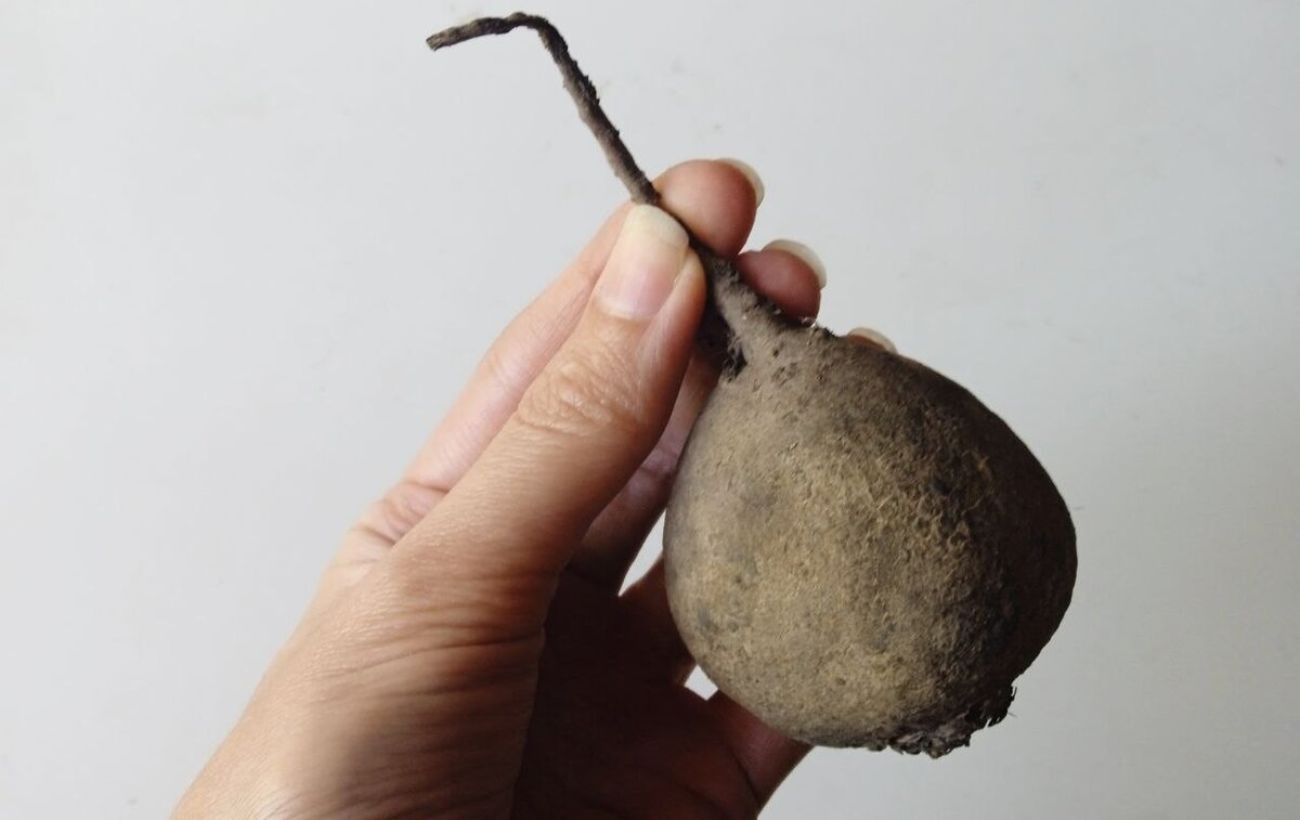 Як скоротити час варіння буряка та покращити його смак