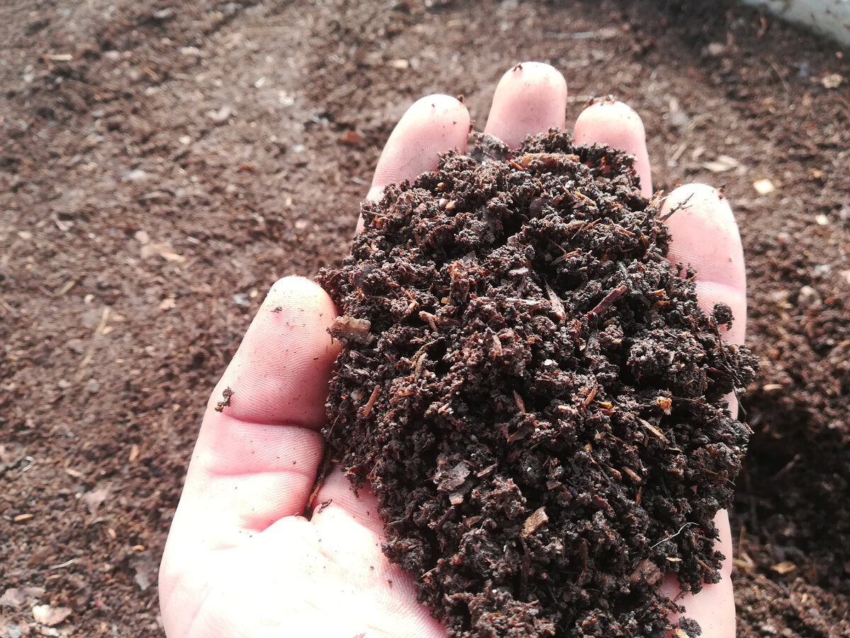 Експерти розповіли, яким способом можна пришвидшити процес приготування компосту