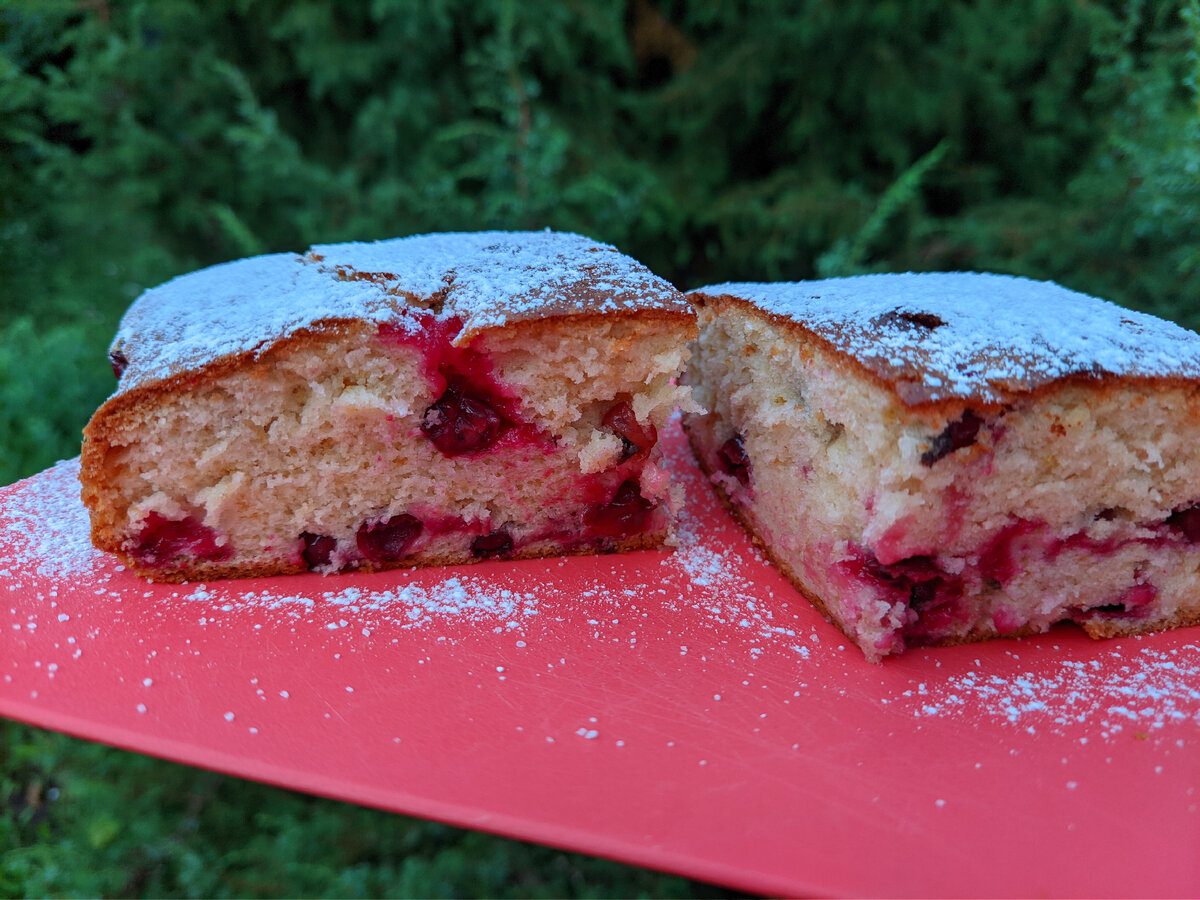 Кулінари розповіли, як приготувати смачний і пишний пиріг до чаю за лічені хвилини – рецепт