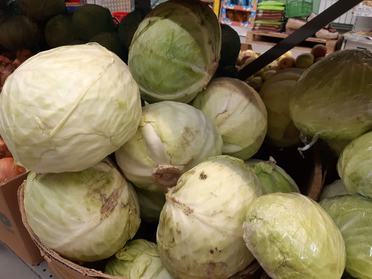 Експерти пояснили, як правильно зберігати капусту, аби вона не псувалась – корисні поради