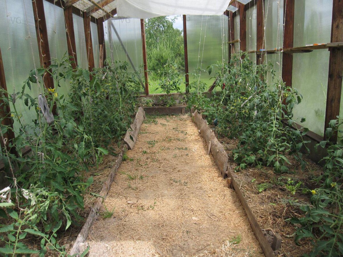 Городники розповіли, який спосіб оновити ґрунт у теплиці є найкращим і найпростішим