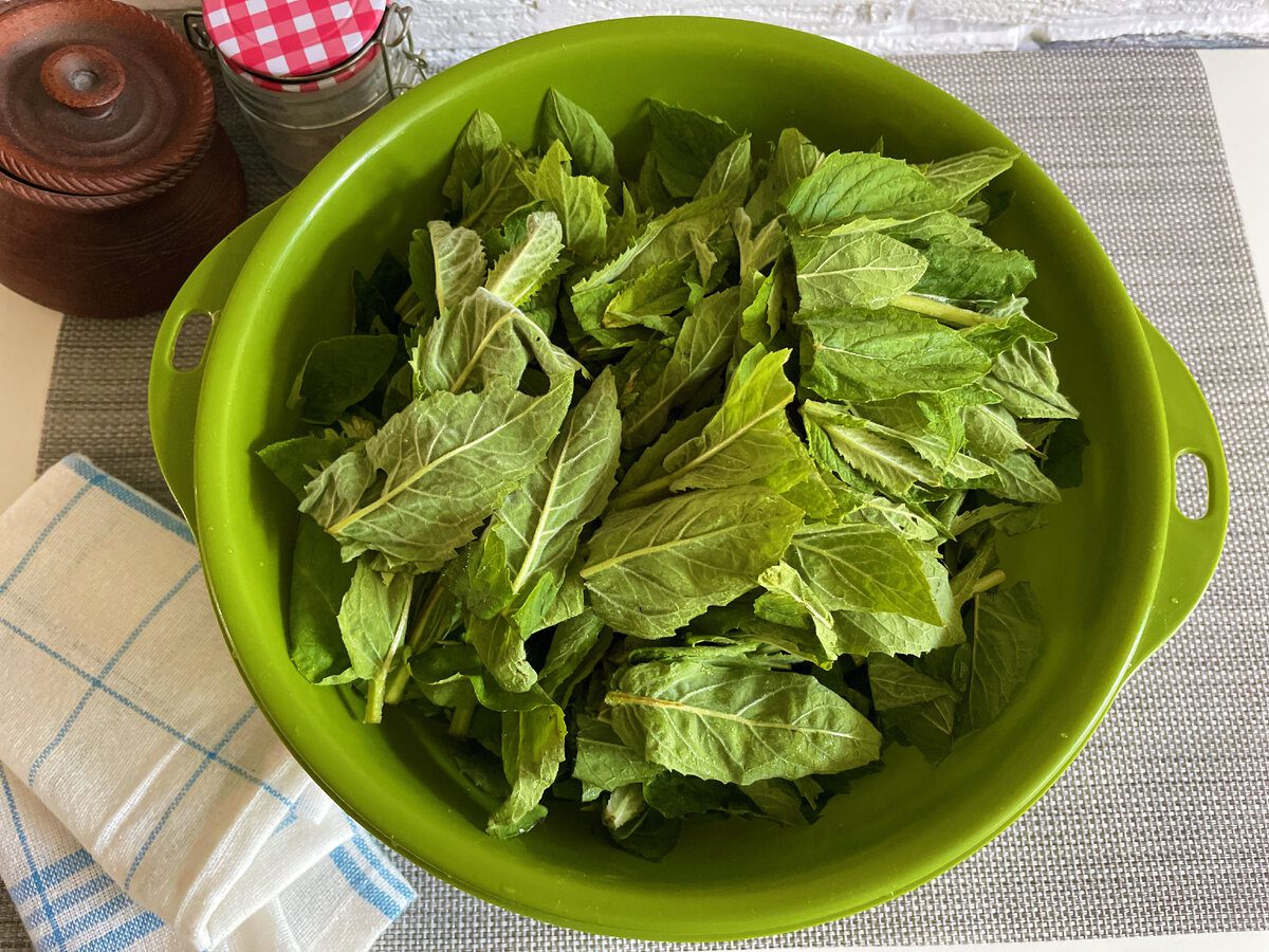 Експерти розповіли, як заготувати ароматну та соковиту м'яту на зиму – рецепт варення