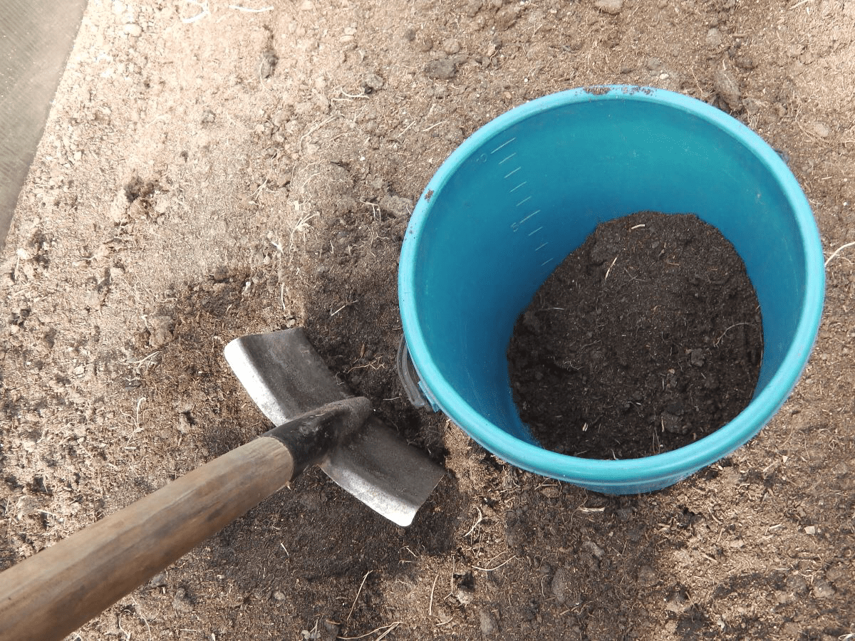 Експерти розповіли, як правильно відновлювати ґрунт на ділянці в осінній період – поради