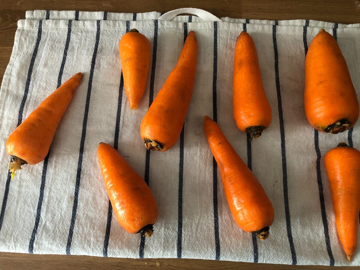 Як зберегти моркву від м'якості й гниття