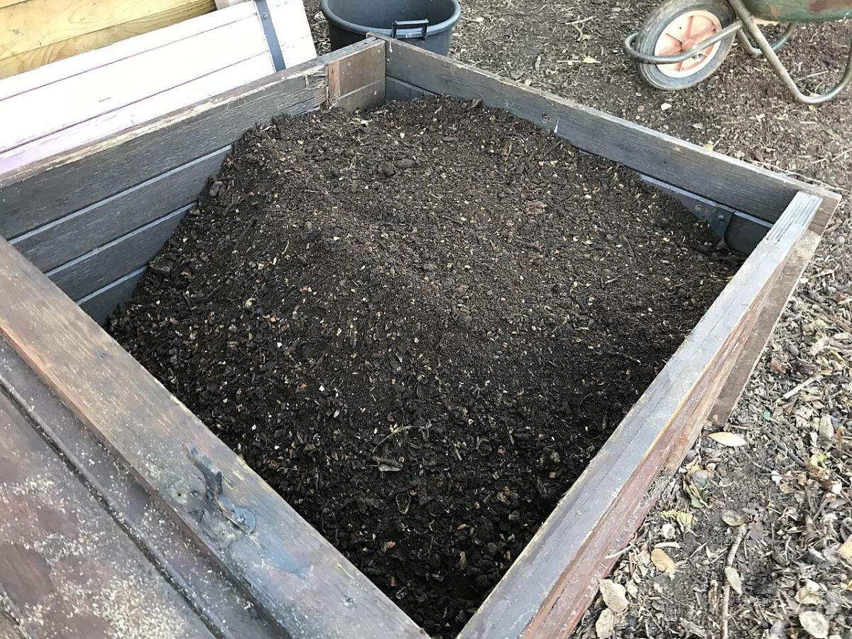 Експерти пояснили, як прискорити дозрівання компосту максимально простим способом