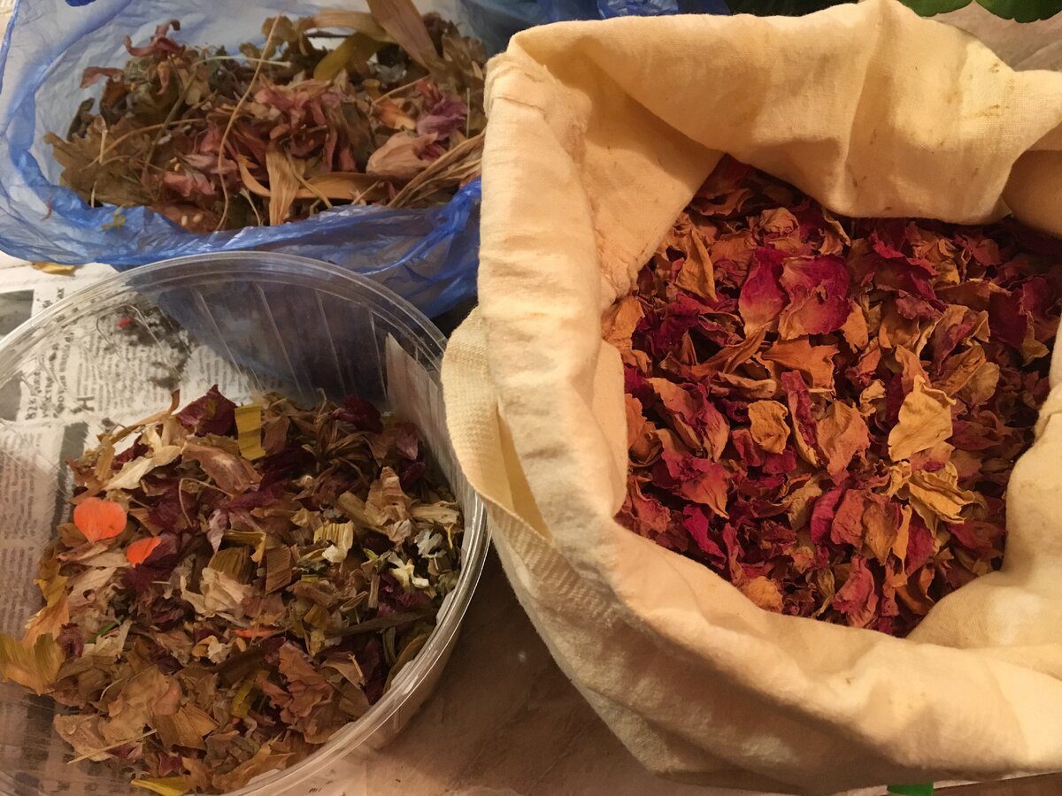 Експерти розповіли, як використовувати горіхове листя від шкідників на власній ділянці