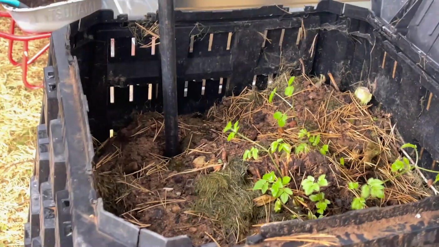 Городники назвали 4 добрива, які необхідно вносити на городі щоосені