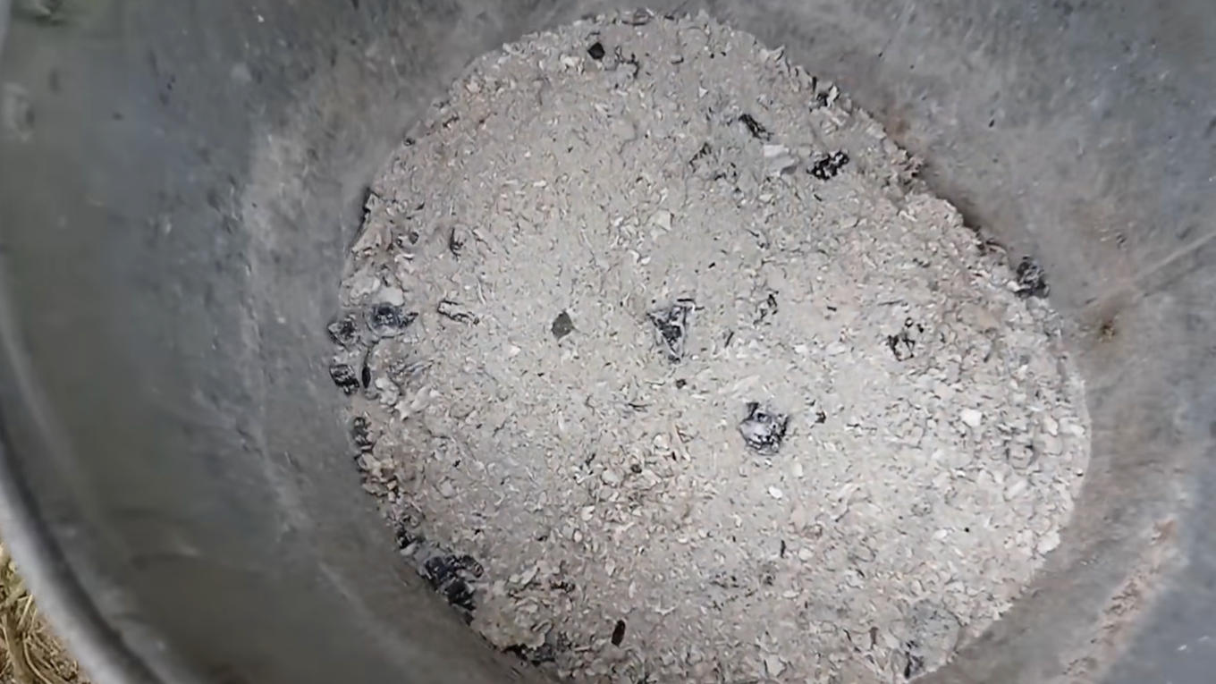 Чим підживити озимий часник у листопаді