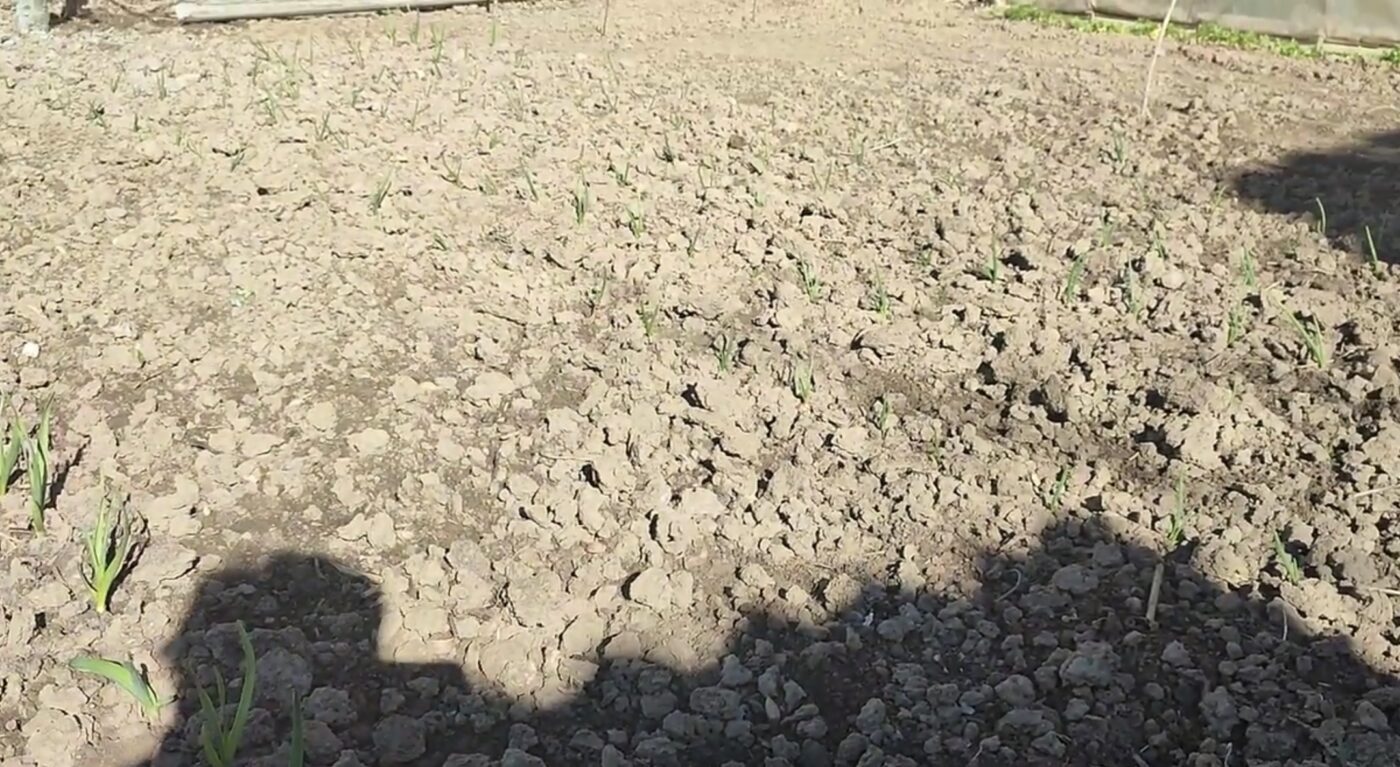 Осіння обробка ґрунту