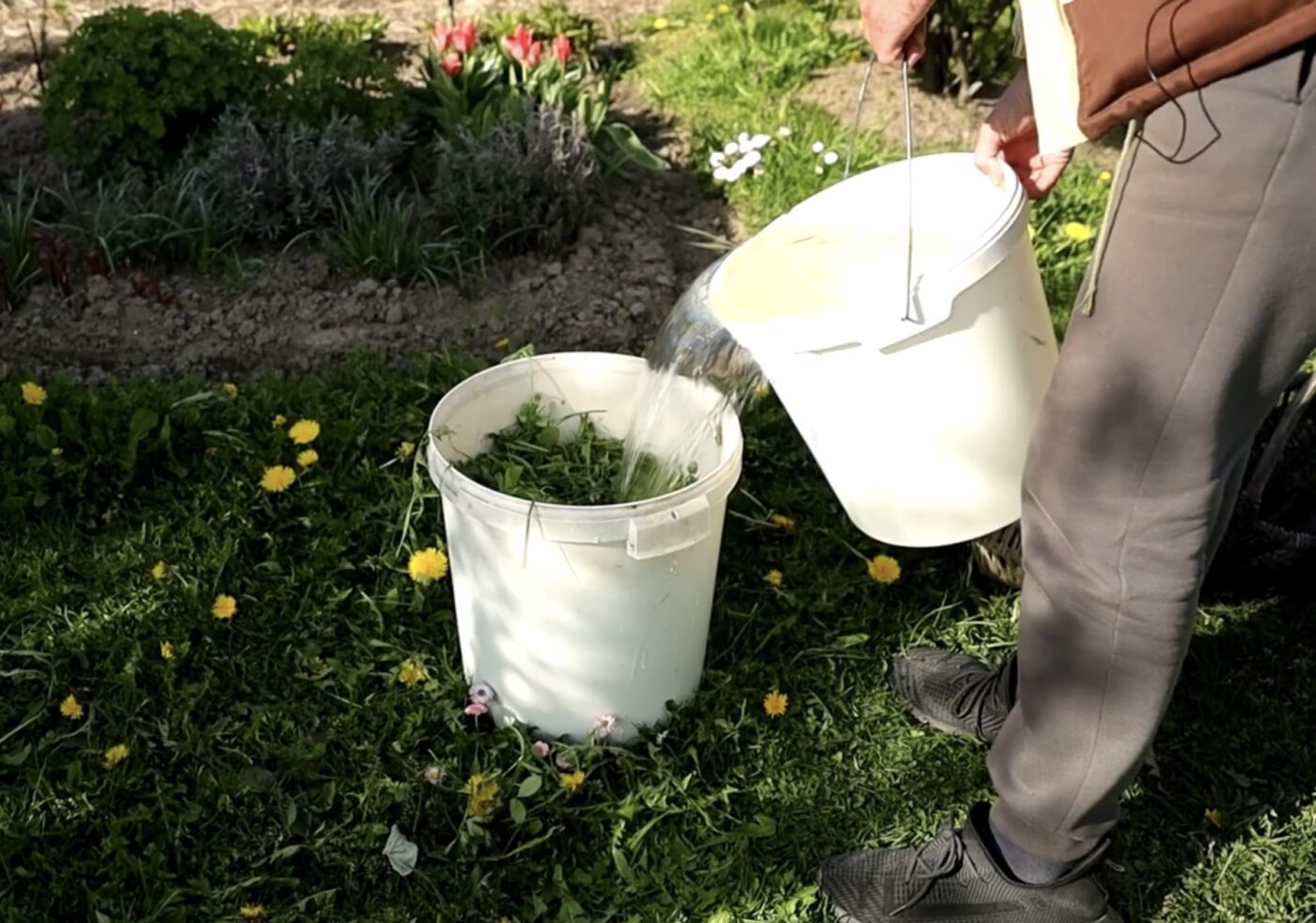 Чим замінити мульчу на городі