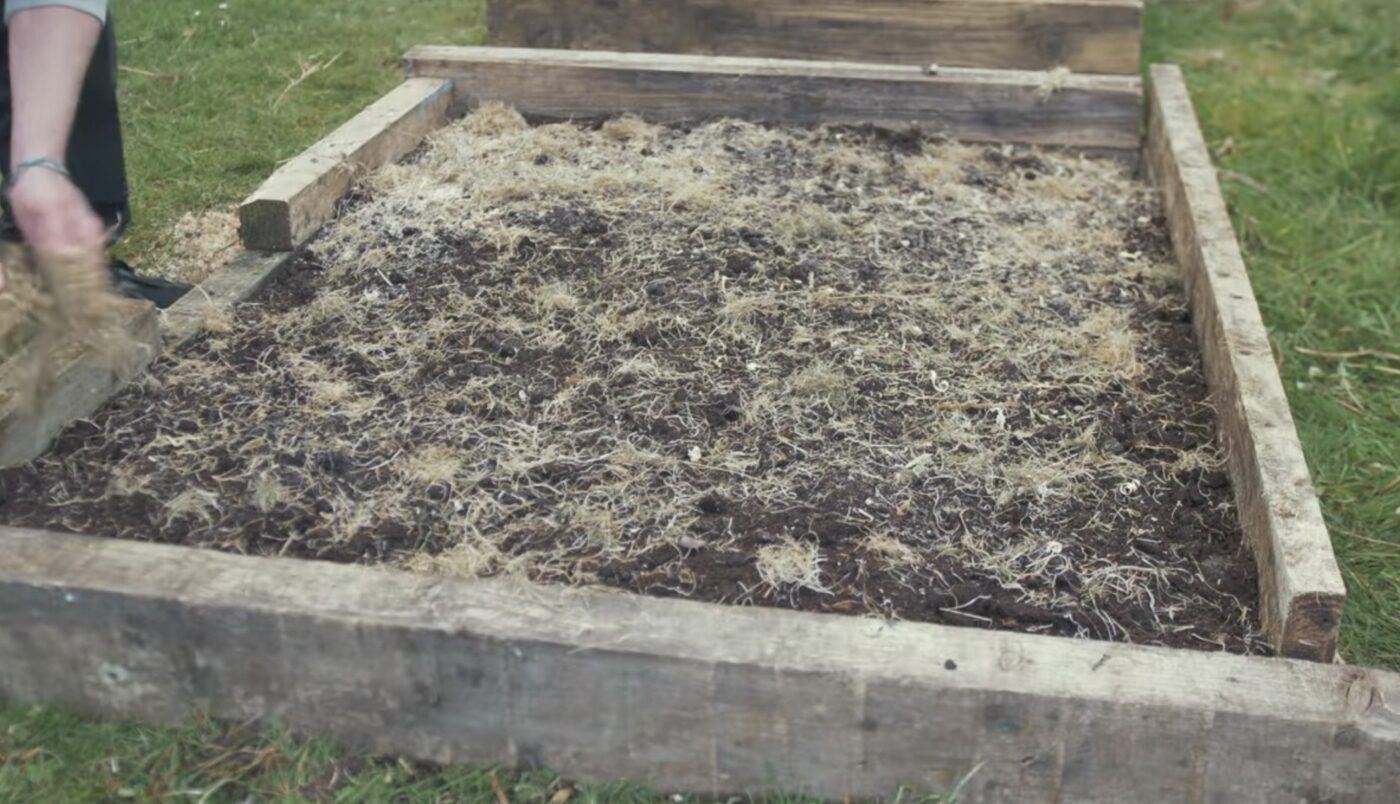 Найкраще добриво для яблуні восени