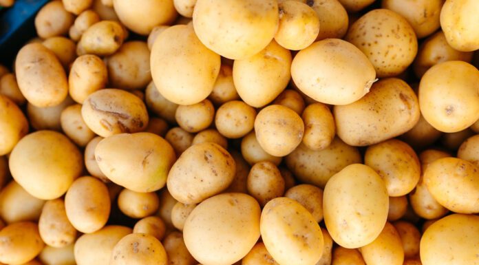 Їм картоплю кожен день – і ось які 4 зміни я помітила: навіть не здогадувалась, що вона така корисна Лікарі розповіли, чим корисна картопля для організму