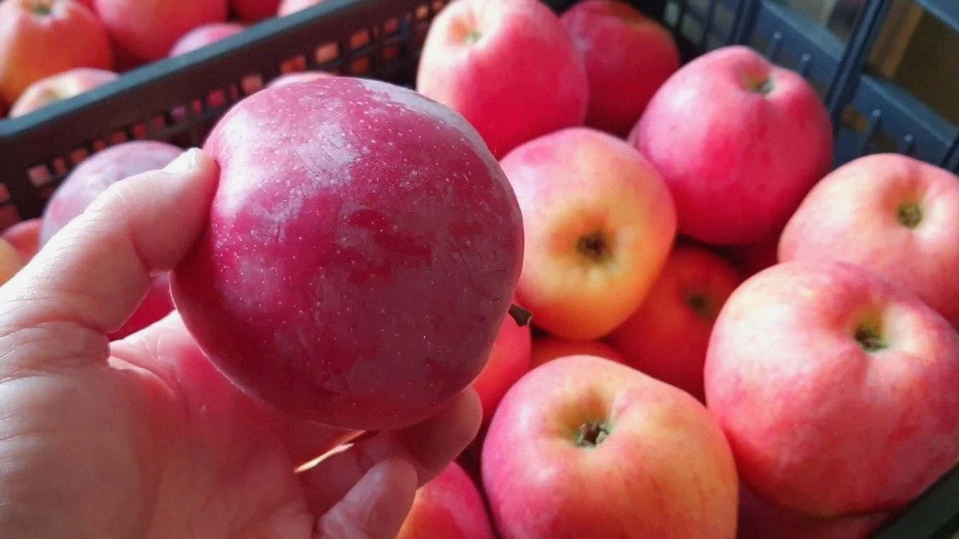 Садівники розповіли 3 секрети тривалого зберігання яблук